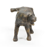 Photo of Aquascape Naughty Dog Spitter - Aquascape Canada